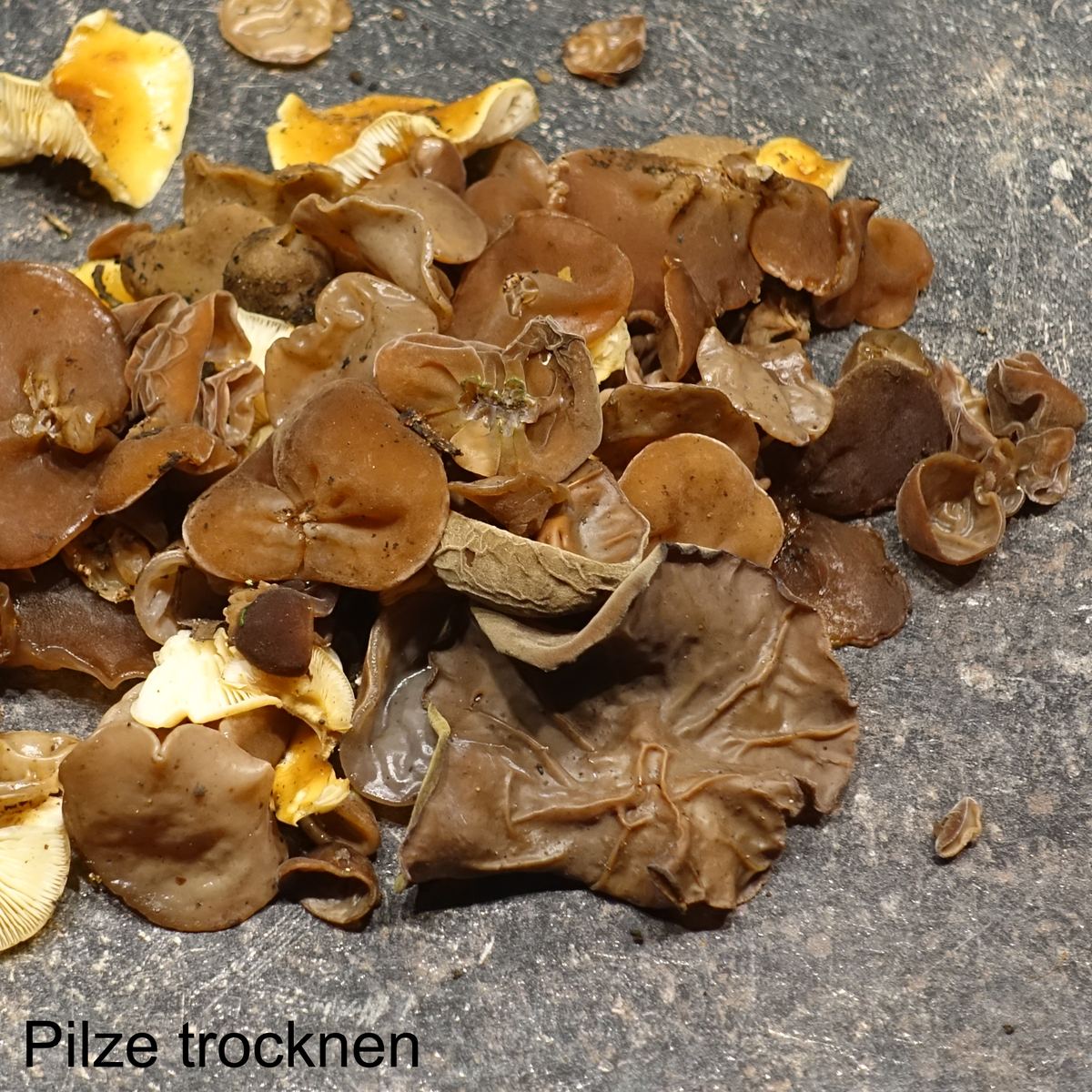 Pilze trocknen