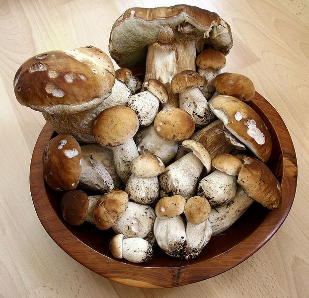 Sienisaalati (Finnischer Pilzsalat)
