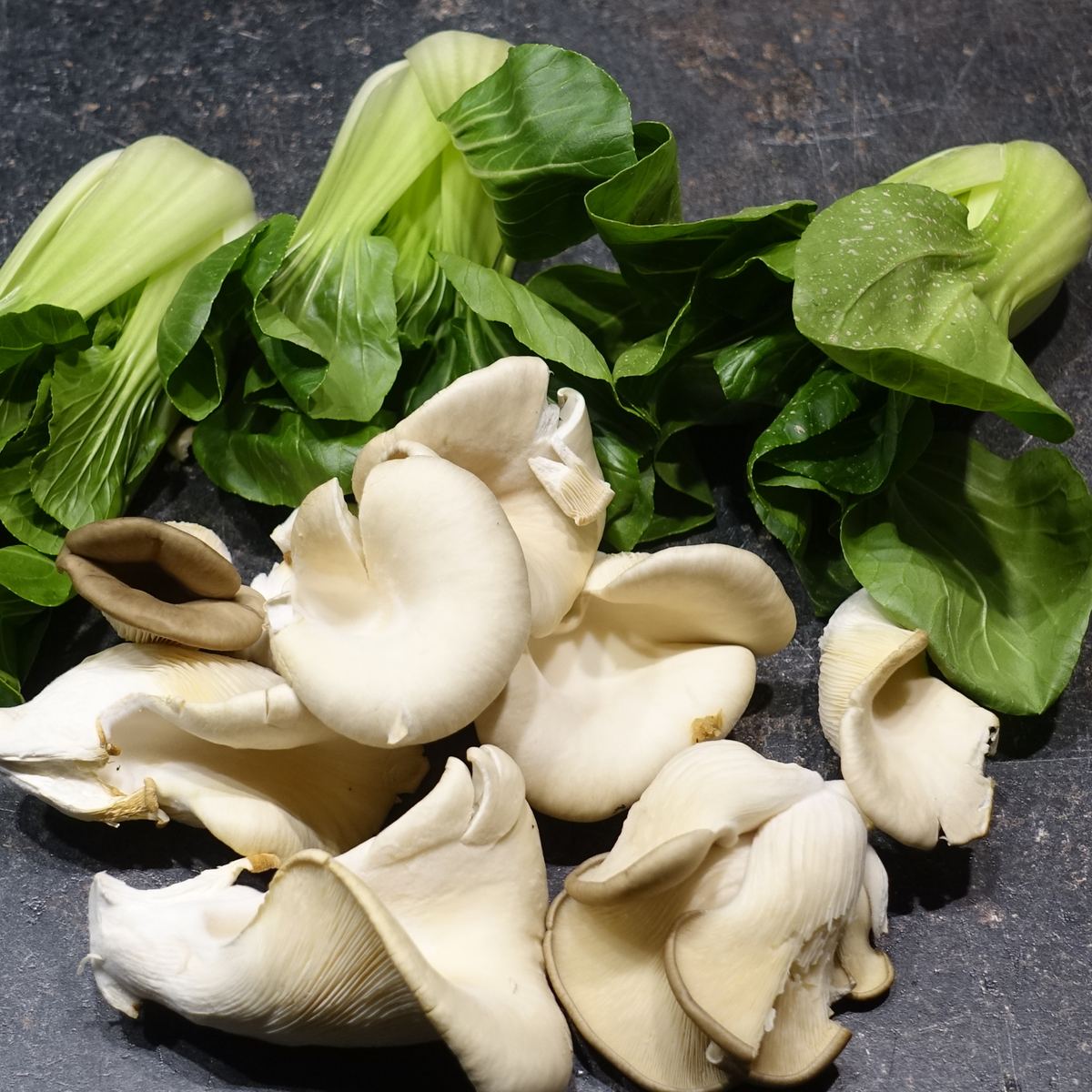 Austernseitling mit pak choi