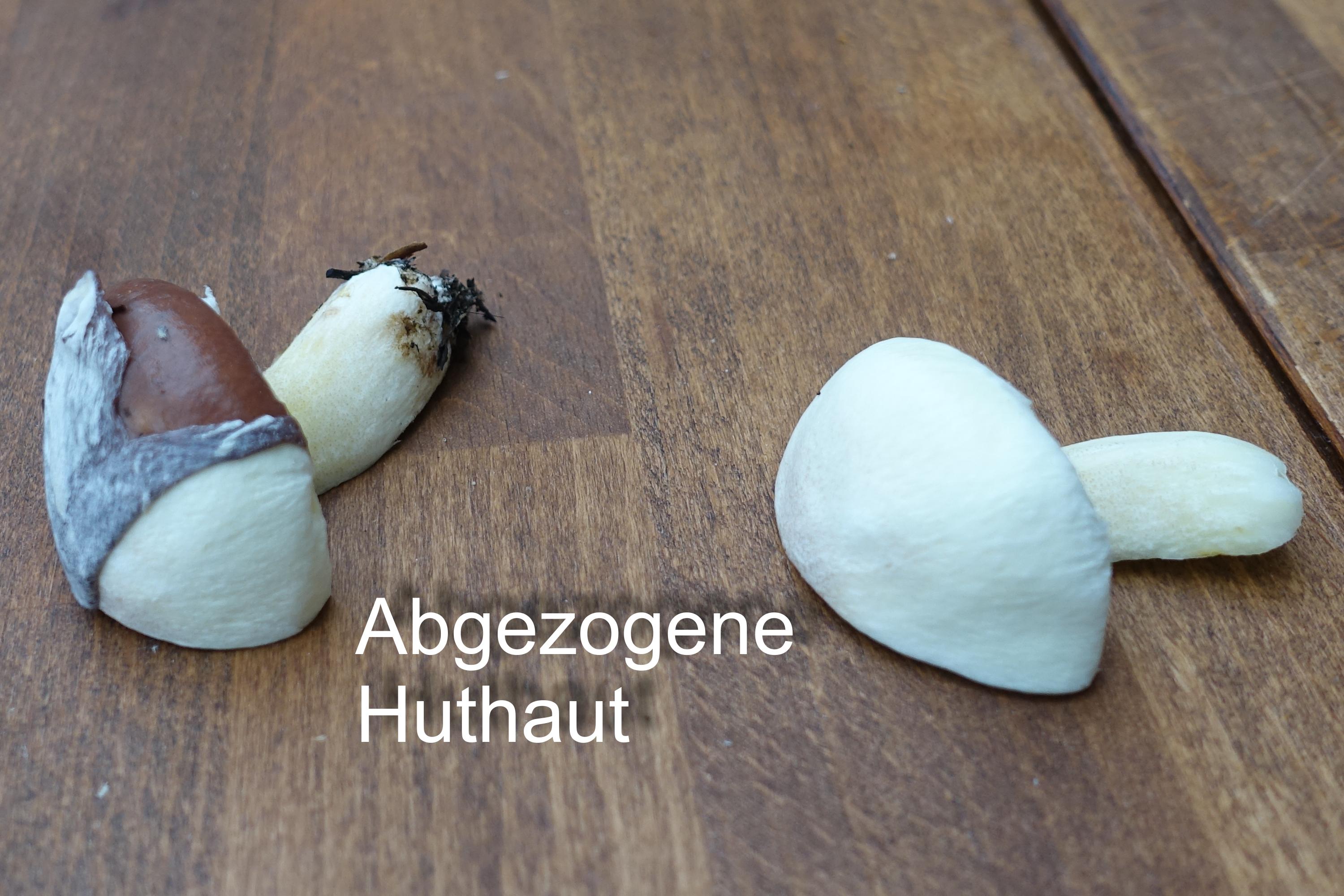 Butterpilz
