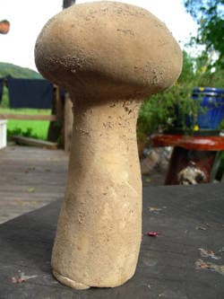 Beutelstäubling
